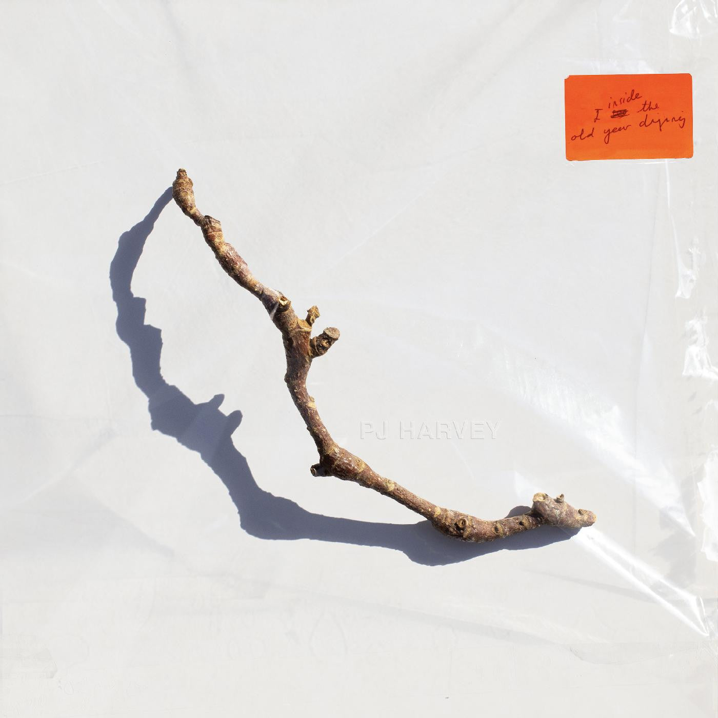 PJ Harvey - I Inside the Old Year Dying ( VINYL )