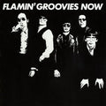 Flamin' Groovies - Now ( VINYL )