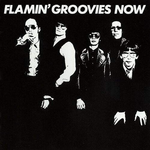 Flamin' Groovies - Now ( VINYL )