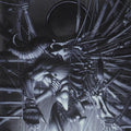 Danzig - Danzig 5: Blackacidevil ( VINYL )