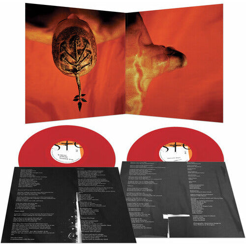 Steve Walsh - Glossolalia ( VINYL )