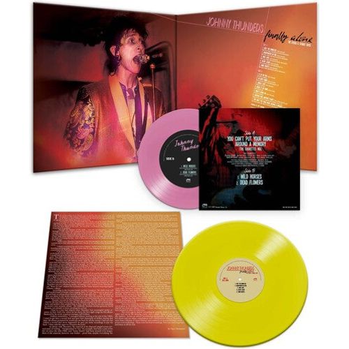Johnny Thunders - Finally Alone - The Sticks & Stones Tapes ( VINYL )