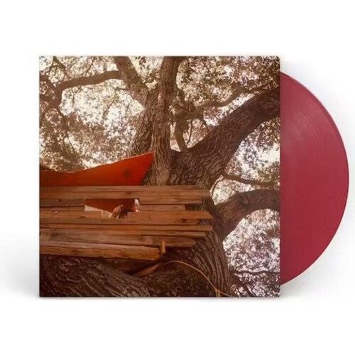 The Backseat Lovers - Waiting To Spill (Anniversary Edition) ( VINYL )