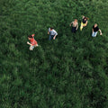 Parcels - Loved - Indie LP