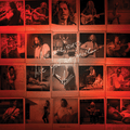Chris Cornell - No One Sings Like You Anymore - Picture Disc LP