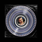Rick Astley - Never Gonna Give You Up - Zoetrope 12"