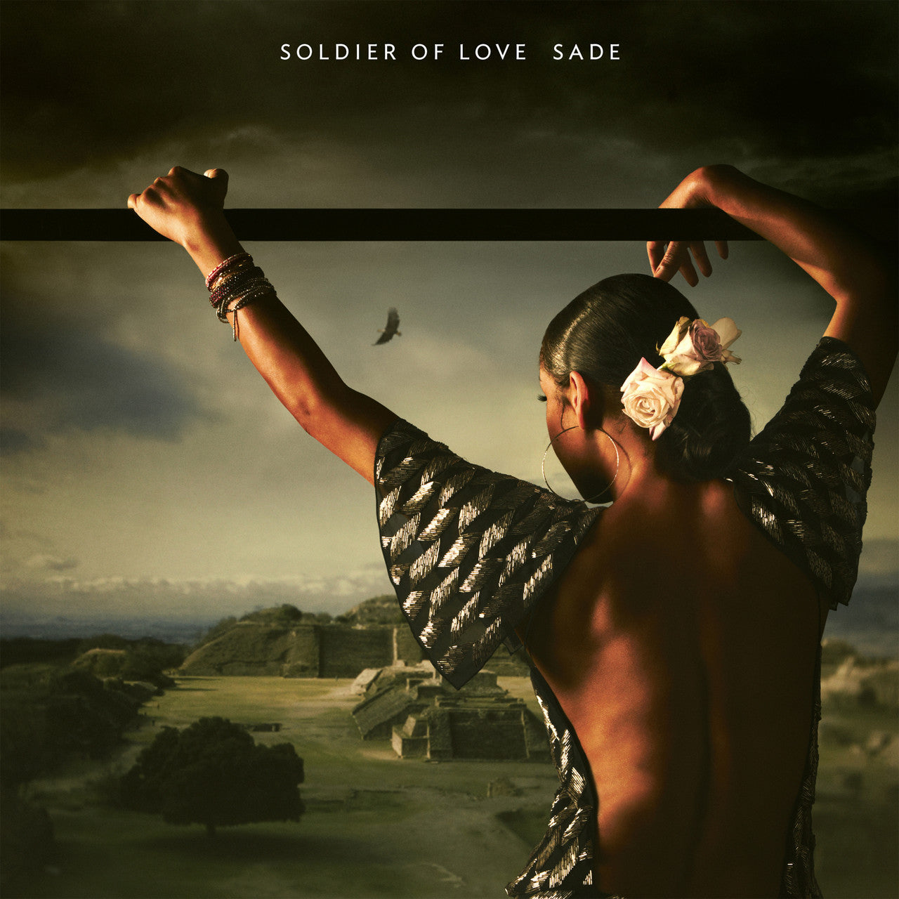 Sade - Soldier of Love ( VINYL )