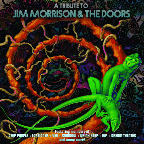 Various Artists - A Tribute To Jim Morrison & The Doors ( VINYL )