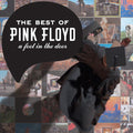 Pink Floyd - A Foot In The Door (The Best Of Pink Floyd) ( VINYL )