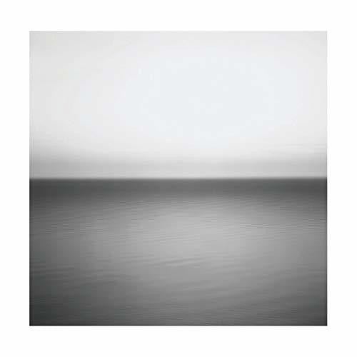 U2 - No Line On The Horizon ( VINYL )