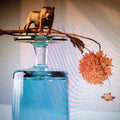 Beirut - Gallipoli - Indie LP