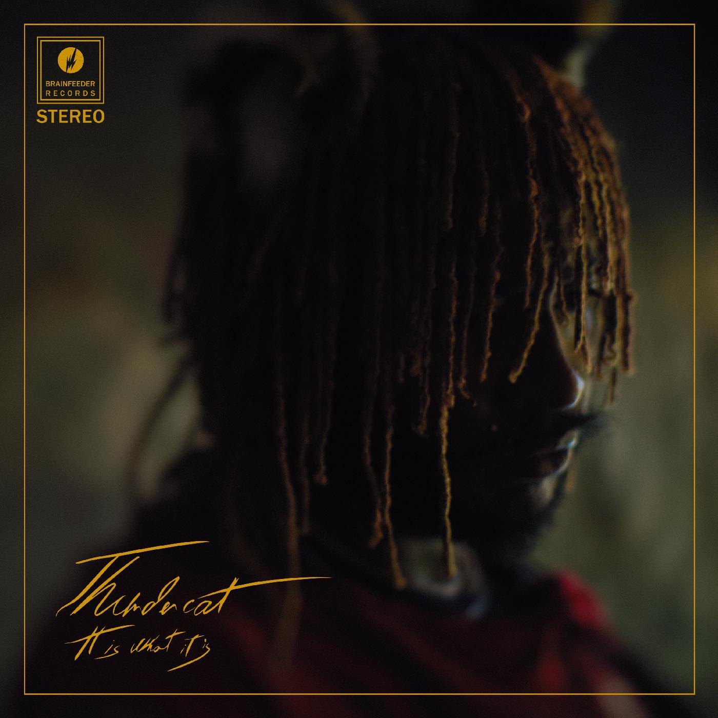 Thundercat - It Is What It Is - Red Vinyl ( VINYL )