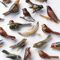 Kishi Bashi - Omoiyari - Indie LP