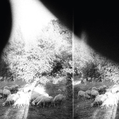 Godspeed You! Black Emperor - Asunder, Sweet and Other Distress ( VINYL )