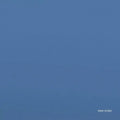 New Order - Be A Rebel - 12" EP (With Cosmetic Damage)