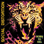 Social Distortion - Born To Kill ( VINYL )